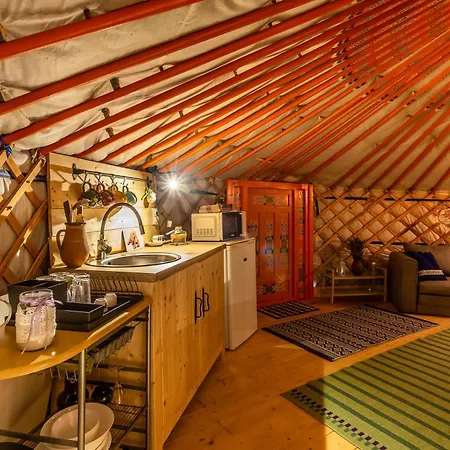 Dream By The Stream In A Yurt - Happy