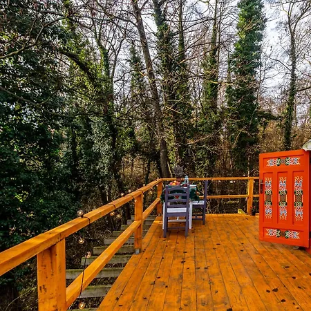 Dream By The Stream In A Yurt - Happy