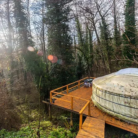 Dream By The Stream In A Yurt - Happy * Taliandorogd
